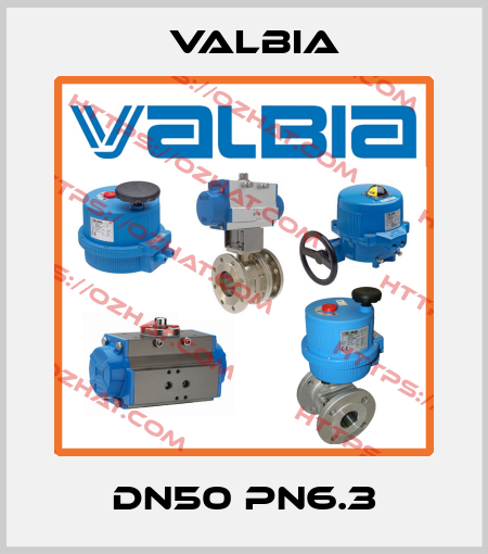 DN50 PN6.3 Valbia
