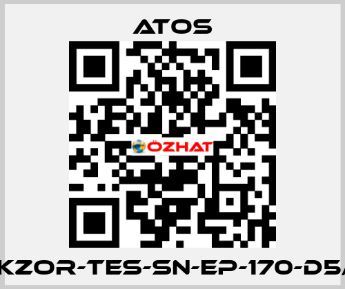 DKZOR-TES-SN-EP-170-D5/F Atos