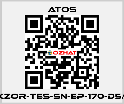 DKZOR-TES-SN-EP-170-D5/FI Atos