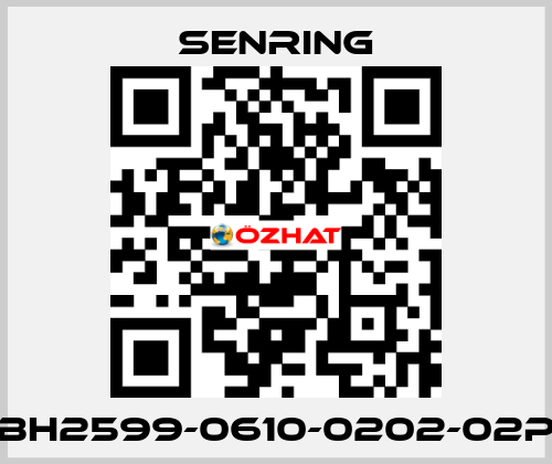 BH2599-0610-0202-02P SENRING