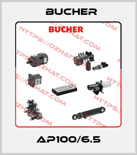 AP100/6.5 Bucher