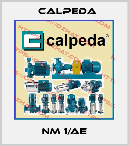 NM 1/AE Calpeda