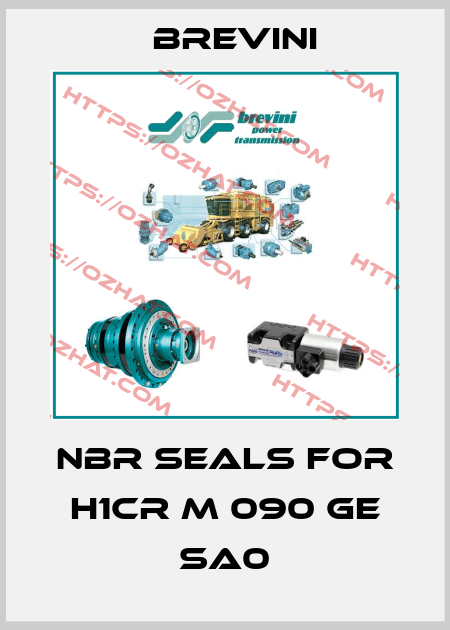NBR Seals for H1CR M 090 GE SA0 Brevini