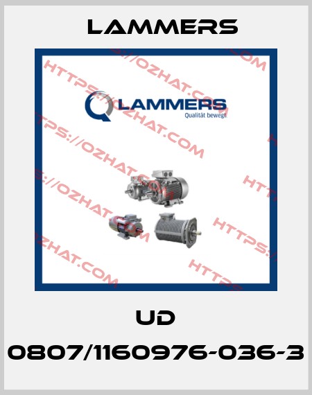 UD 0807/1160976-036-3 Lammers