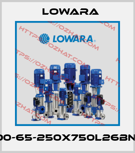 IXPC100-65-250X750L26BNN4S1G Lowara