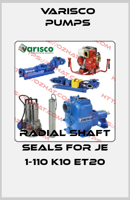 Radial shaft seals for JE 1-110 K10 ET20 Varisco pumps
