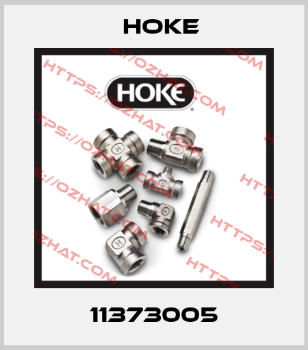 11373005 Hoke