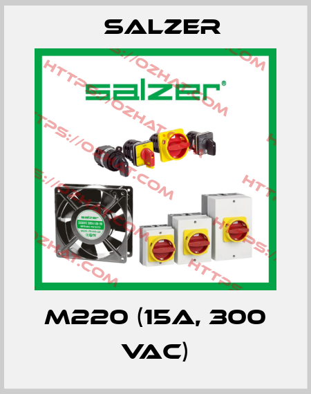 M220 (15A, 300 VAC) Salzer