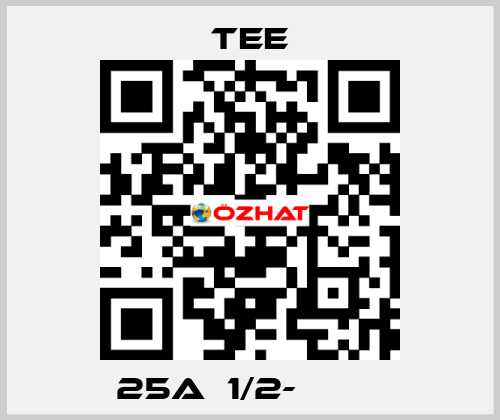 25Aｘ1/2-Ｓ１６０ TEE