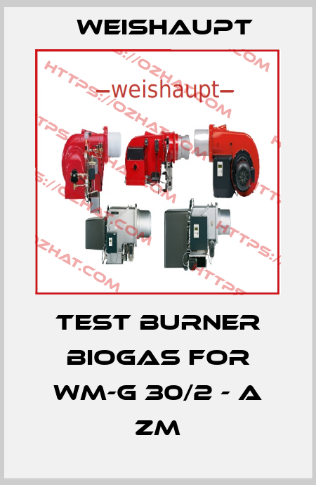 Test burner biogas for WM-G 30/2 - A ZM Weishaupt