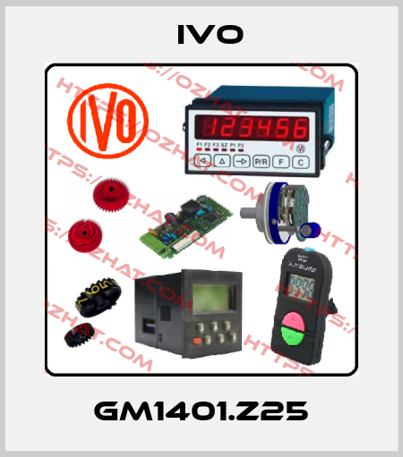 GM1401.Z25 IVO