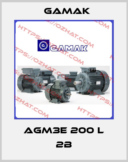 AGM3E 200 L 2b Gamak