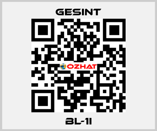 BL-1I Gesint