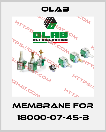 Membrane for 18000-07-45-B Olab