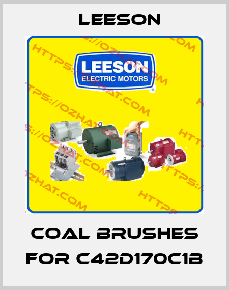 Coal brushes for C42D170C1B Leeson