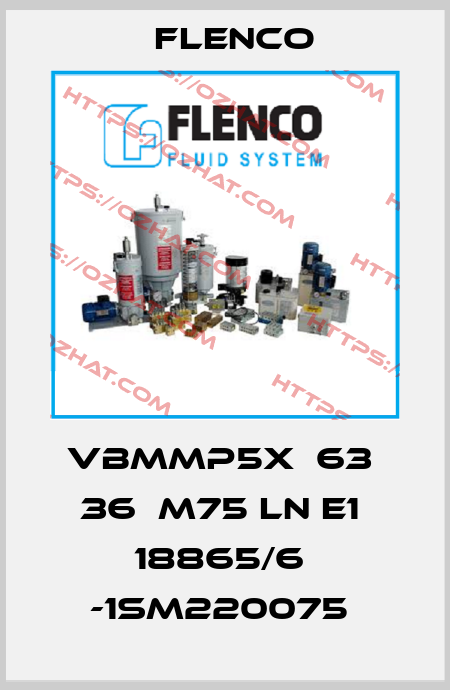 VBMMP5X  63  36  M75 LN E1  18865/6  -1SM220075  Flenco