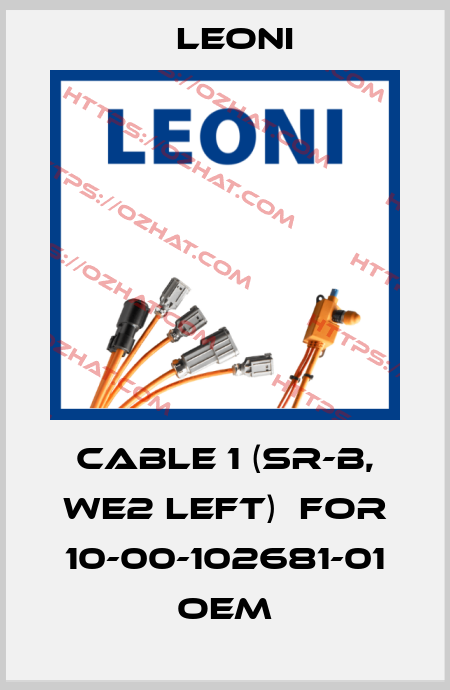 Cable 1 (SR-B, WE2 left)  for 10-00-102681-01 OEM Leoni