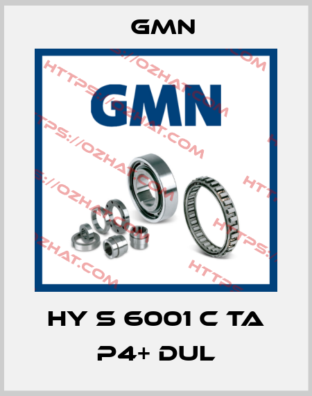 HY S 6001 C TA P4+ DUL Gmn