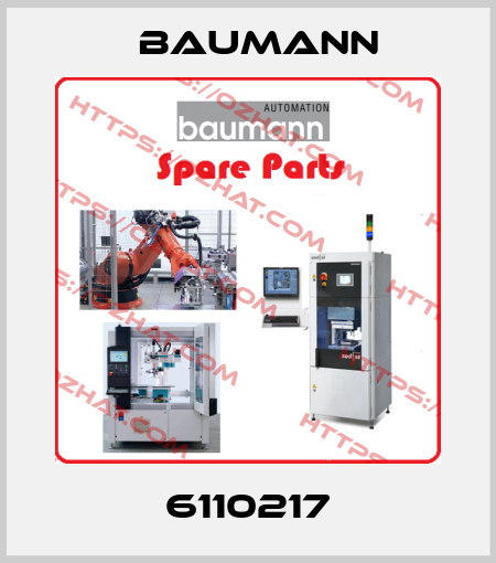6110217 Baumann