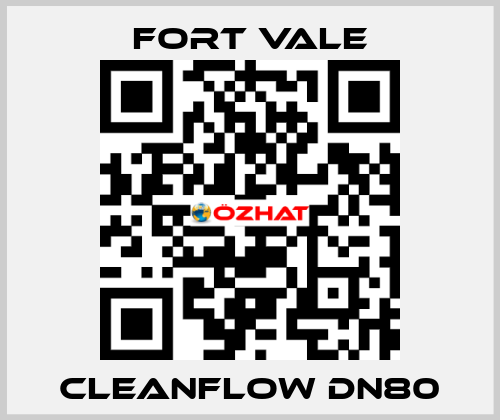 Cleanflow DN80 Fort Vale