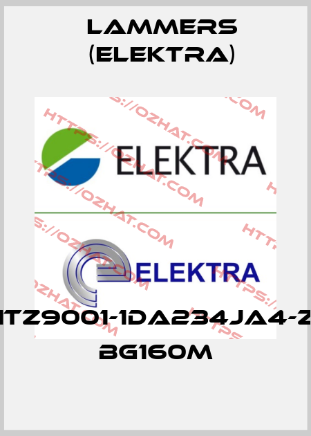 1TZ9001-1DA234JA4-Z BG160M Lammers (Elektra)