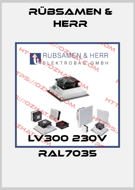 LV300 230V RAL7035 Rübsamen & Herr