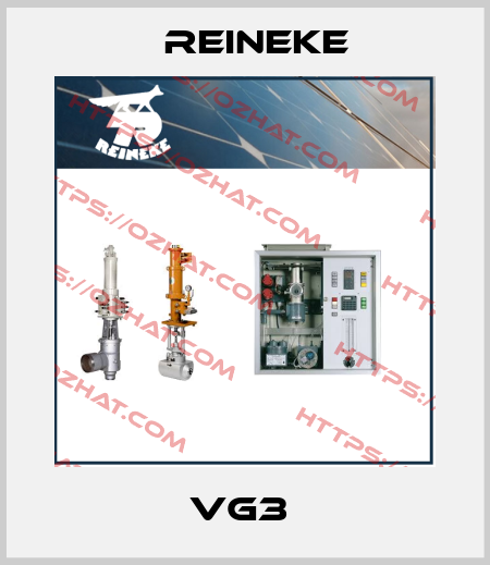 VG3  Reineke
