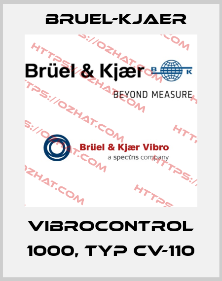 VIBROCONTROL 1000, Typ CV-110 Bruel-Kjaer
