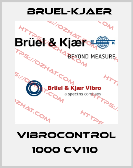 VIBROCONTROL 1000 CV110  Bruel-Kjaer