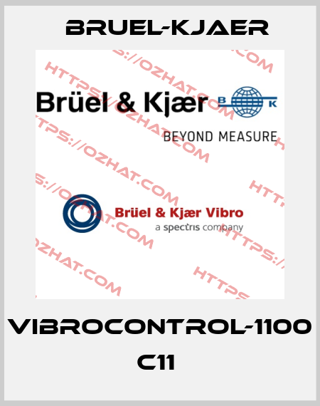 VIBROCONTROL-1100 C11  Bruel-Kjaer