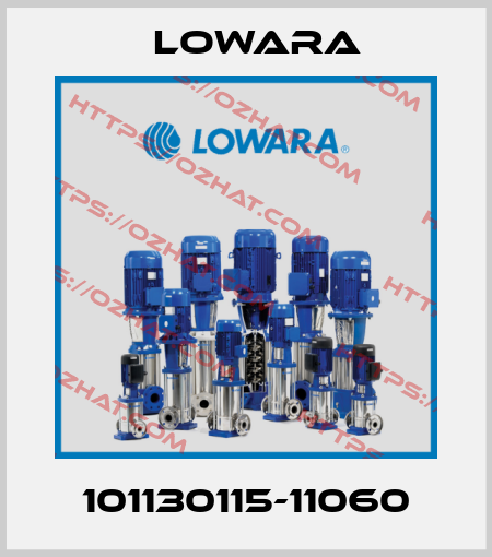 101130115-11060 Lowara