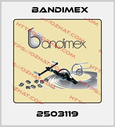 2503119 Bandimex