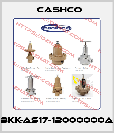 BKK-AS17-12000000A Cashco