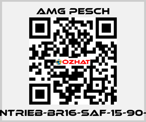 AMG-Antrieb-BR16-SAF-15-90-01-n=12 AMG Pesch