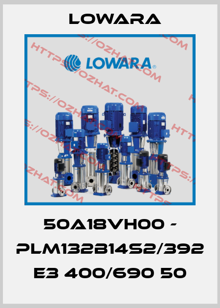 50A18VH00 - PLM132B14S2/392 E3 400/690 50 Lowara