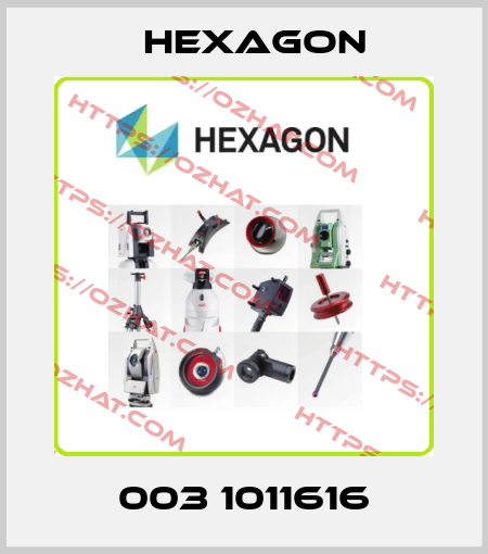 003 1011616 Hexagon