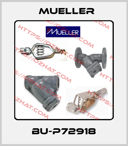 BU-P72918 Mueller