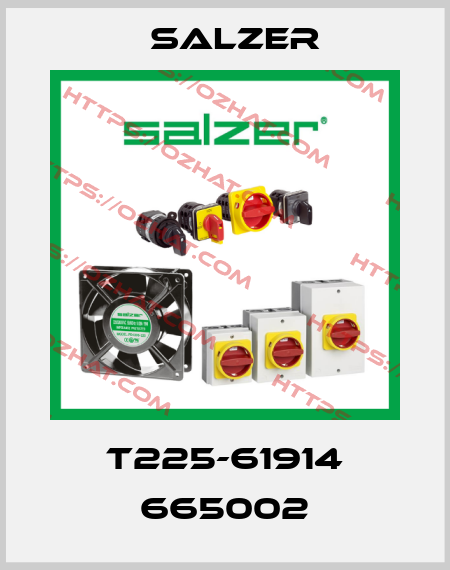 T225-61914 665002 Salzer