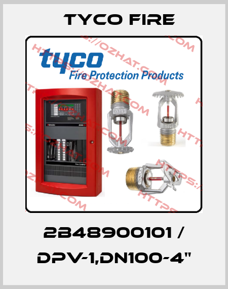 2B48900101 / DPV-1,DN100-4" Tyco Fire