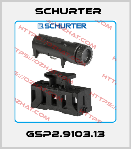 GSP2.9103.13 Schurter