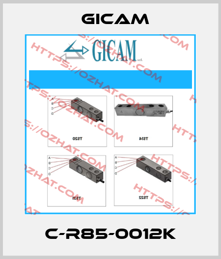 C-R85-0012K Gicam