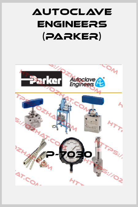 P-7030 Autoclave Engineers (Parker)