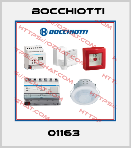 01163  Bocchiotti