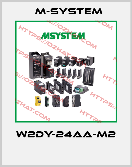 W2DY-24AA-M2  M-SYSTEM