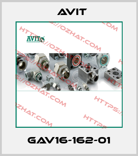 GAV16-162-01 Avit