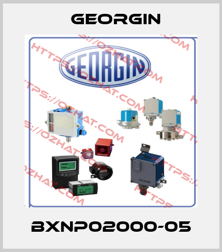 BXNP02000-05 Georgin