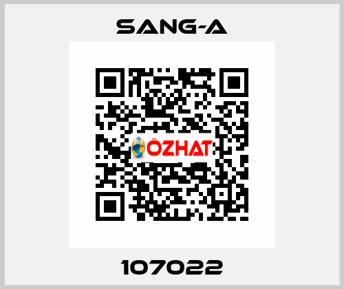107022 Sang-A