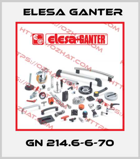 GN 214.6-6-70 Elesa Ganter