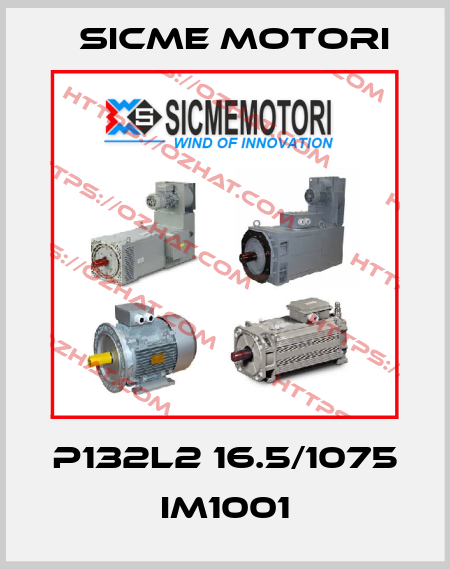 P132L2 16.5/1075 IM1001 Sicme Motori