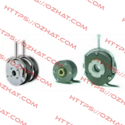 F7S0030205000 / CC6F 100Nm 205VDC OEM B.Brake s.r.l.